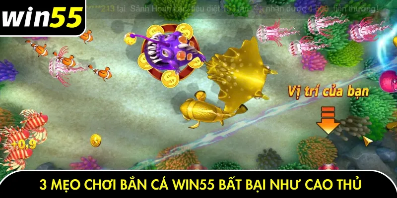3 mẹo chơi bắn cá Win55 bất bại như cao thủ