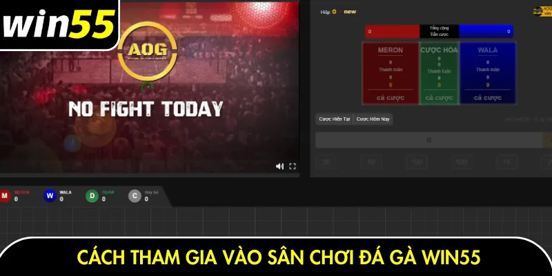 Cách tham gia vào sân chơi đá gà Win55