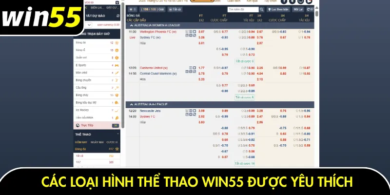 Các loại hình thể thao Win55 được yêu thích